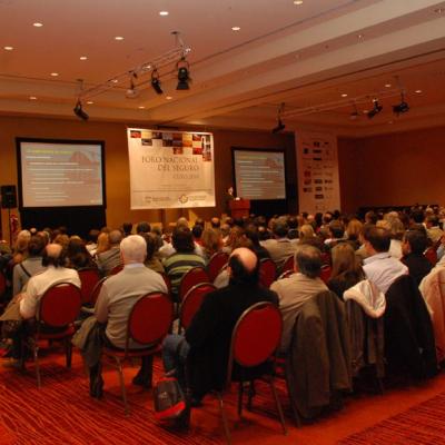 2010 Foro Nacional del Seguro